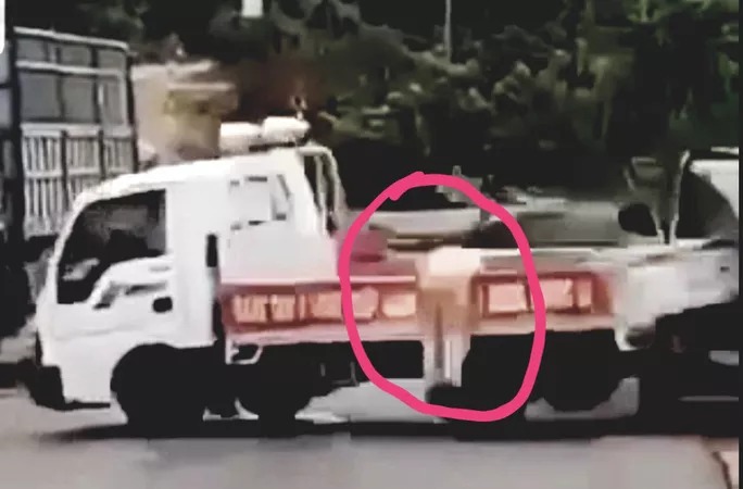Vụ xe gỗ lậu tông CSGT: Công an tỉnh Gia Lai vào cuộc