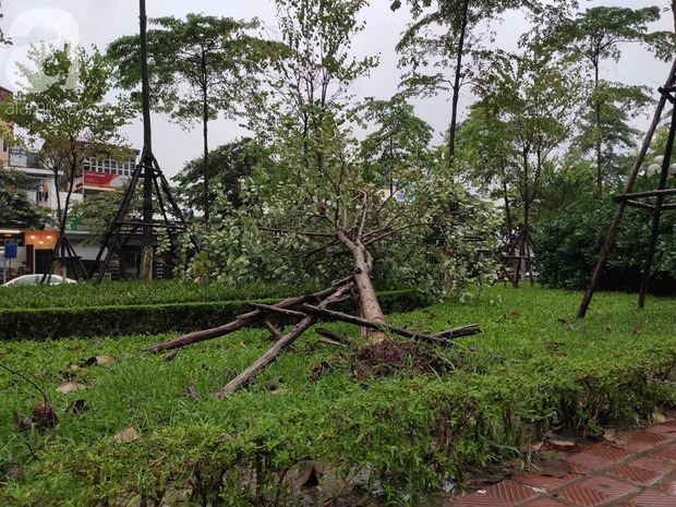Ảnh: Người dân Hà Nội oằn mình trong mưa lớn và gió lốc mạnh, bão số 3 đã suy yếu thành áp thấp nhiệt đới - 10