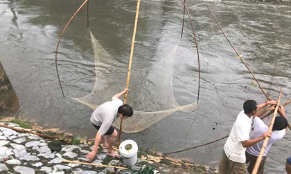 Người dân Hà Nội buông cần, giăng lưới bắt cá sau bão số 3