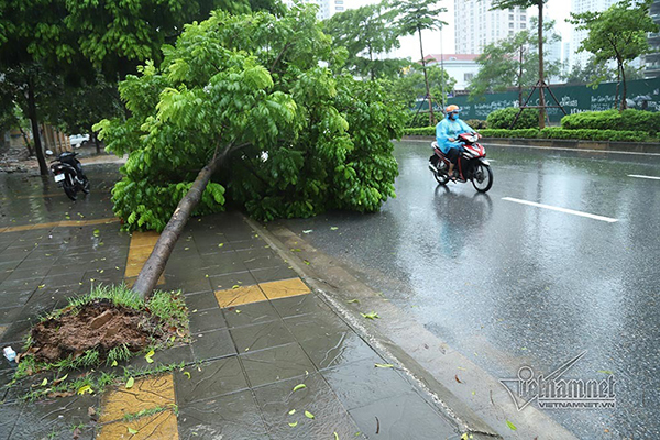 Dự báo thời tiết 6/8, Hà Nội mưa dông, đề phòng gió giật mạnh