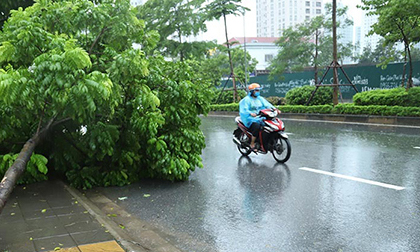 Dự báo thời tiết 6/8, Hà Nội mưa dông, đề phòng gió giật mạnh