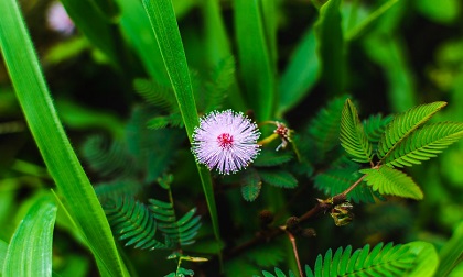 Tử vi 12 cung hoàng đạo thứ sáu ngày 9/8/2019 mới và chuẩn nhất