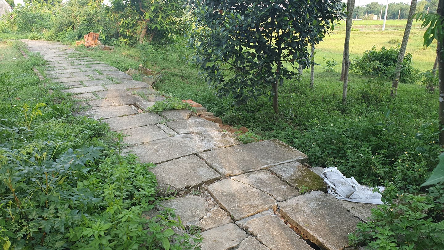 kinh hai loi ke nguoi cha co 2 con gai bi 2 ga dan ong u50 xam hai hinh anh 1