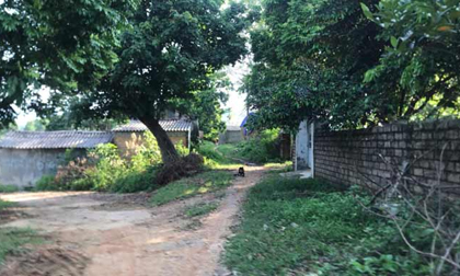 Nữ sinh 16 tuổi mang bầu 5 tháng, công an tìm 'yêu râu xanh'