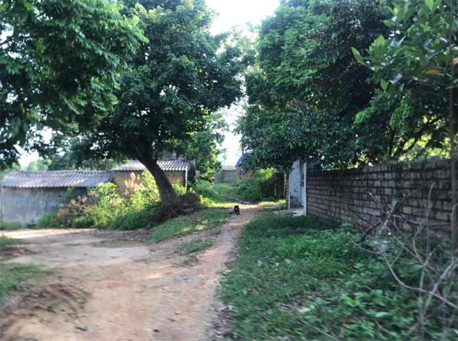 nu sinh 16 tuoi mang bau 5 thang, cong an tim 