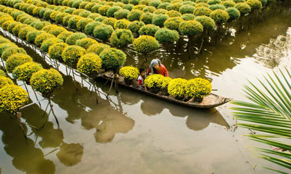 Sa Đéc, từ thủ phủ hoa đến trung tâm đô thị, du lịch trọng điểm của miền Tây
