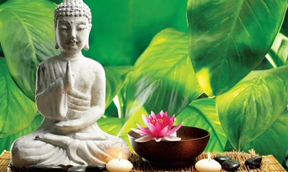 5 thói quen giúp bạn cân bằng cuộc sống, thanh tịnh tâm hồn