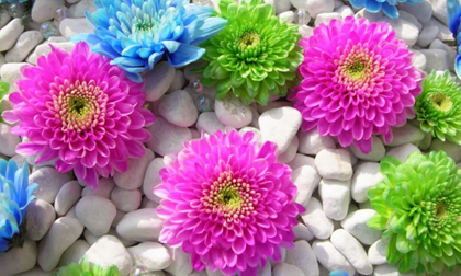 Tử vi 12 cung hoàng đạo thứ hai ngày 2/9/2019 mới nhất, chuẩn nhất