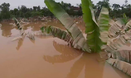 Người dân 'rốn lũ' Hà Tĩnh tất bất dọn dẹp sau khi nước rút: 'Khổ lắm, gà vịt trôi hết cả rồi'