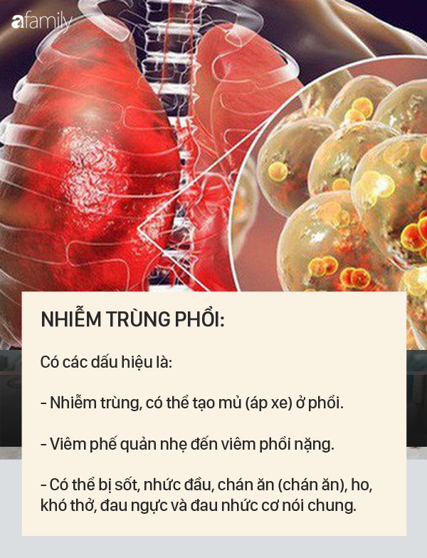 Dấu hiệu bệnh whitmore - căn bệnh do vi khuẩn ăn mòn cơ thể con người, có thể gây tử vong trong vài ngày - 2