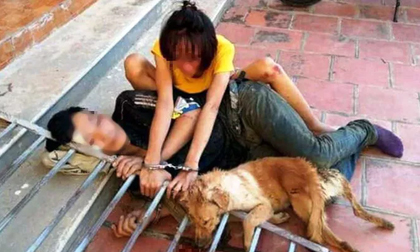 Bắt 10 'cẩu tặc' trộm hơn 40 con chó trong 1 đêm