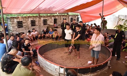 Đột kích ổ đá gà lớn, bắt 91 người, thu 5 ôtô và 67 xe máy