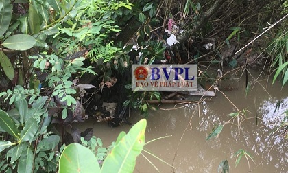 Phát hiện thi thể nữ giới phân hủy, mắc kẹt trên kênh rạch