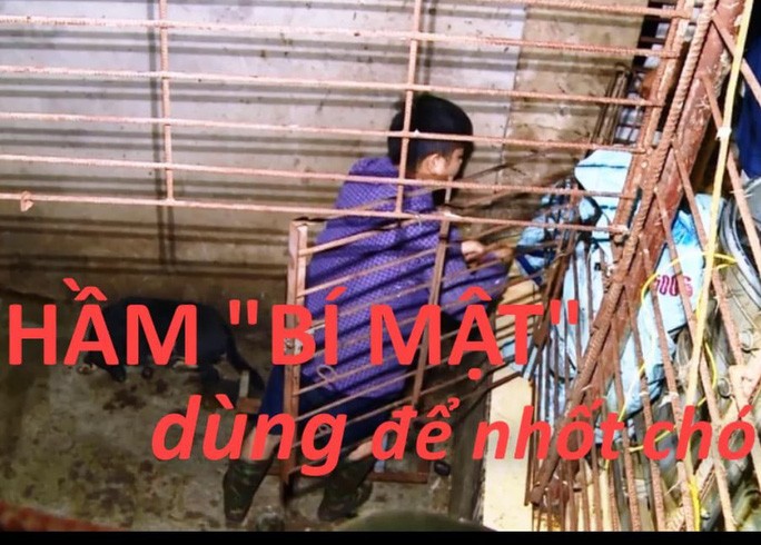 Băng nhóm trộm chó hơn 100 tấn đào cả hầm bí mật để nhốt chó - Ảnh 2. Băng nhóm trộm chó hơn 100 tấn đào cả hầm bí mật để nhốt chó - Ảnh 2.