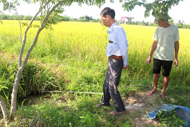 Hải Dương: Chồng phát hiện vợ tử vong nghi bị điện giật - Ảnh 1. Hải Dương: Chồng phát hiện vợ tử vong nghi bị điện giật - Ảnh 1.