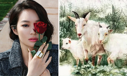 Tử vi 12 con giáp thứ sáu ngày 27/9/2019 mới nhất, chuẩn nhất
