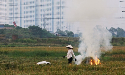 Không khí Hà Nội ô nhiễm do mỗi ngày đốt 528 tấn than
