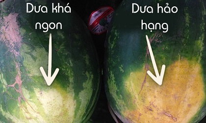 Người bán dưa hé lộ: Chỉ cần 5 giây để chọn được quả dưa hấu ngon ngọt, không có hóa chất
