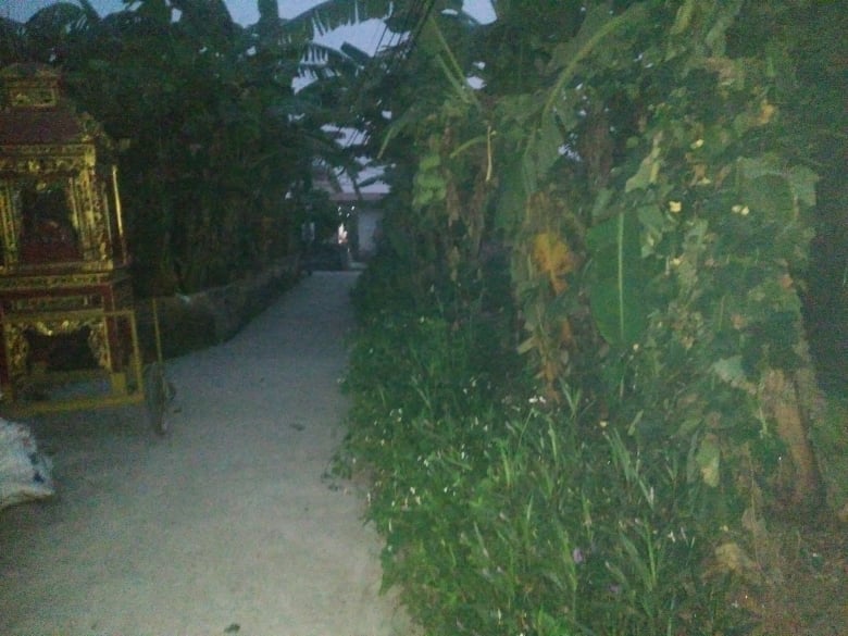 Bi kịch đau lòng của người phụ nữ bị sát hại, vứt xác ở nghĩa trang hình ảnh 2 bi kich dau long cua nguoi phu nu bi sat hai, vut xac o nghia trang hinh anh 2