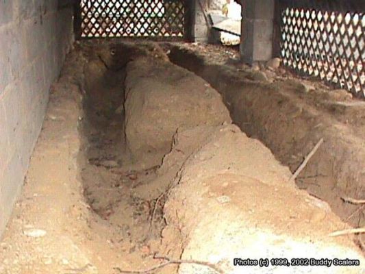 Bí mật trong ngôi nhà chứa 8 thi thể phụ nữ: Ngôi nhà đáng sợ - 1