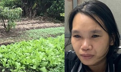 Chủ thầu xây dựng bị sát hại trong vườn nhà