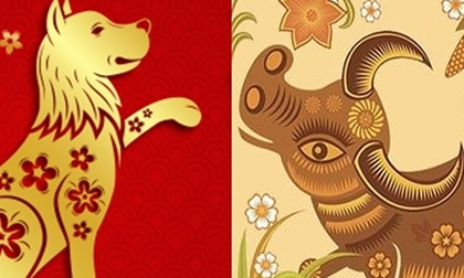 Tử vi 12 con giáp thứ 4 ngày 30/10/2019 mới nhất, chuẩn nhất