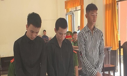 Nhóm thanh niên chia nhau 8 năm tù vì cướp giật tài sản của du khách nước ngoài