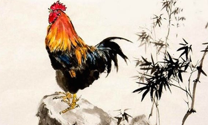 Tử vi 12 con giáp thứ năm ngày 19/12/2019 mới nhất, chuẩn nhất