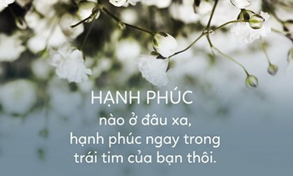 Đời người sống đơn giản bao nhiêu thì trong lòng sẽ hạnh phúc, bình thản bấy nhiêu