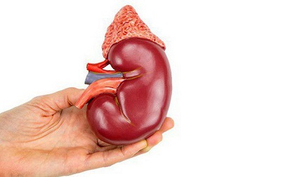 Chỉ cần nhìn 3 biểu hiện vào ban đêm của cơ thể biết thận khỏe hay yếu