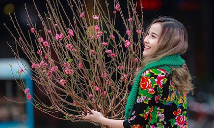 Dự báo thời tiết cả nước dịp Tết Nguyên đán: Bắc Bộ rét đậm, Nam Bộ khô ráo