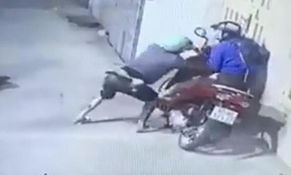 Cảnh báo nguy hiểm rình rập từ những băng cướp manh động, liều lĩnh ngày giáp Tết