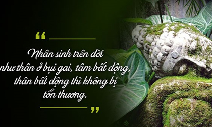 Phật dạy: Con người nếu không hiểu rõ 'chữ này' đồng nghĩa tự đẩy mình xuống vực sâu đau khổ
