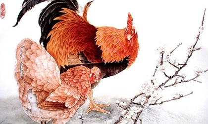 Tử vi 12 con giáp thứ năm ngày 2/1/2020 mới nhất, chuẩn nhất