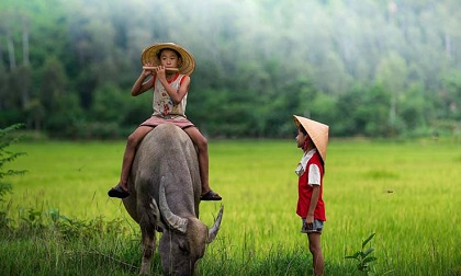 Nếu cuộc sống không hạnh phúc, hãy thay đổi bản thân chứ đừng phí thời gian than thở
