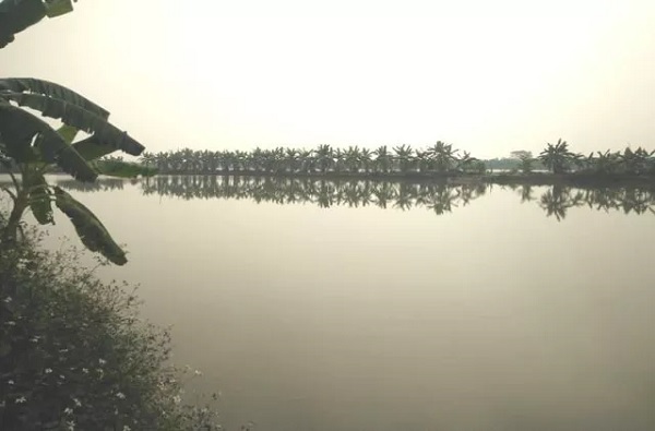 '. Tình tiết lạ vụ chủ đầm rươi tử vong bất thường ở Hải Phòng .'