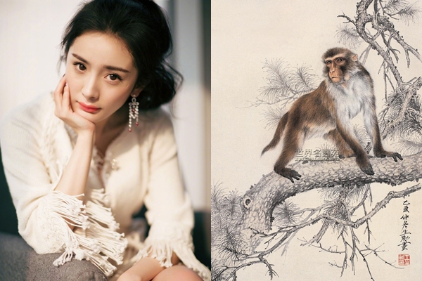 con giap xui