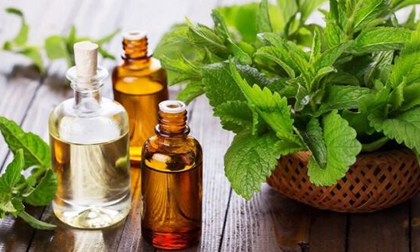 Dùng tinh dầu kiểu này là 'đầu độc' cả nhà, đặc biệt hại trẻ nhỏ
