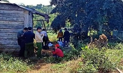 Thanh niên chết cháy bên cạnh máy tính trong rẫy cà phê