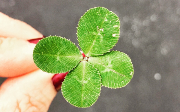 '. Có 5 kiểu người rất kỳ lạ: Luôn luôn gặp được may mắn trong cuộc sống, bạn có ở trong số đó? .'