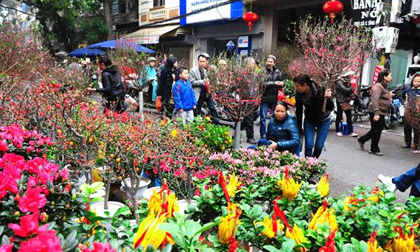Chợ hoa Tết và thú chơi hoa