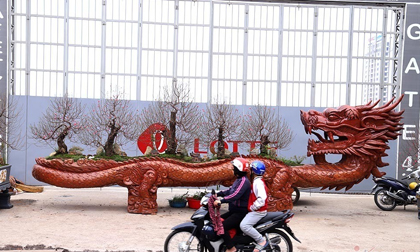 Những cây đào “độc nhất vô nhị” mùa Tết Nguyên đán Canh Tý 2020