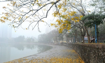 Tin gió mùa Đông Bắc