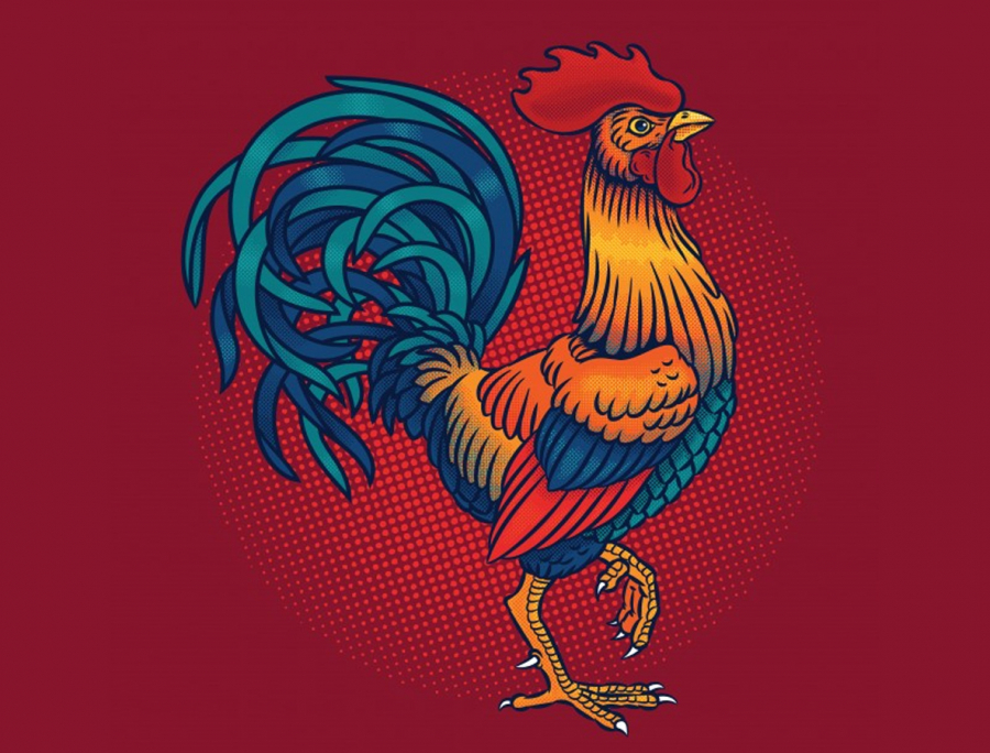tuvituoidau