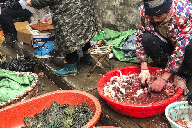 80 nguoi chet vi virus Vu Han, TQ ‘khoa chat’ Ho Bac, keo dai nghi Tet hinh anh 2 cho_hai_san_trung_quoc_.jpg