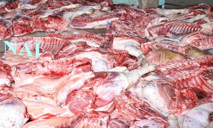Bắt quả tang một cơ sở thu mua lợn chết về giết thịt rồi bán ra thị trường