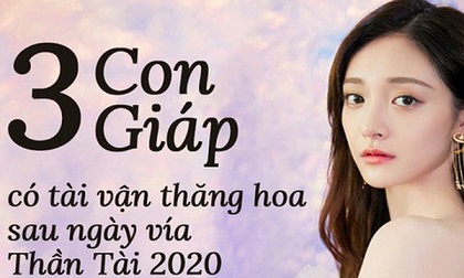 Sau ngày vía Thần Tài 2020, 3 con giáp chuẩn bị tinh thần đón một năm thăng hoa thịnh vượng, công việc suôn sẻ kéo theo tài vận dồi dào