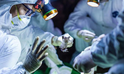 Bé 3 tháng tuổi dương tính với virus corona là ca thứ 15 tại Việt Nam