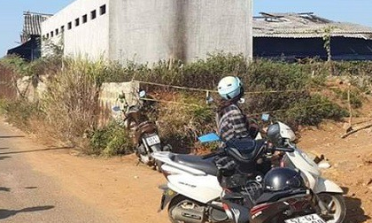Phát hiện thi thể bị cháy đen ở khu đất trống ở Lâm Đồng