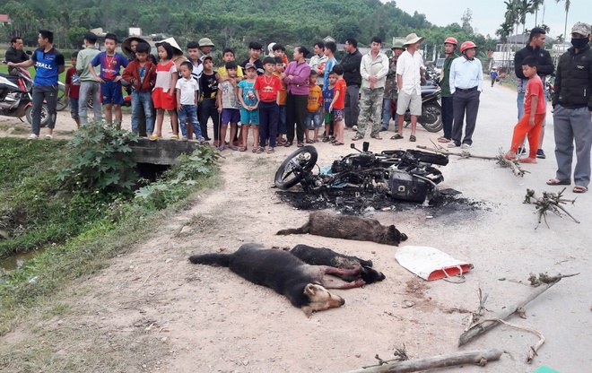 Nghi can trom cho bi danh chet hinh anh 1 trom_cho1.jpg